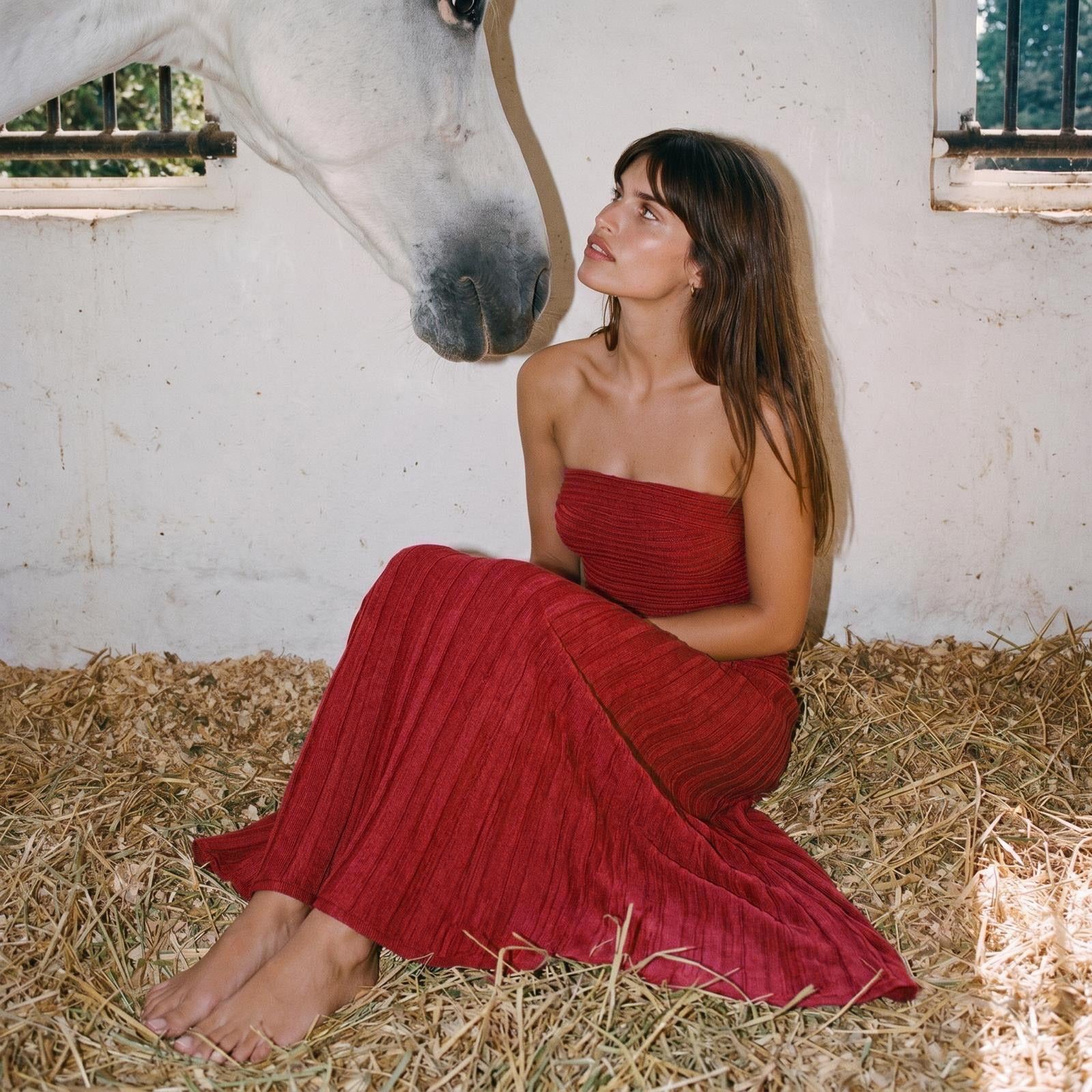 Ariel Wine Dress